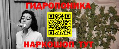прущие грибы Пушкино
