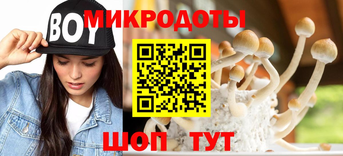 Самара  Псилоцибиновые грибы GOLDEN TEACHER  купить наркотики сайты  Вход с VPN 